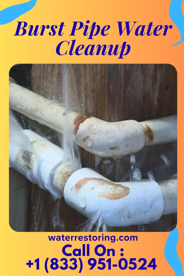 Burst Pipe Water Cleanup in Crystal, MN