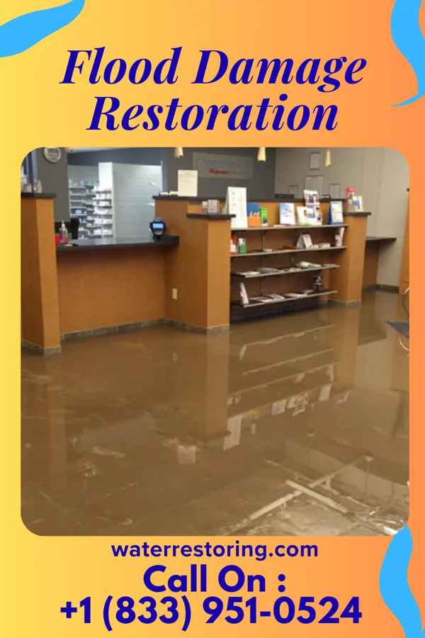 Flood Damage Restoration in Crystal, MN