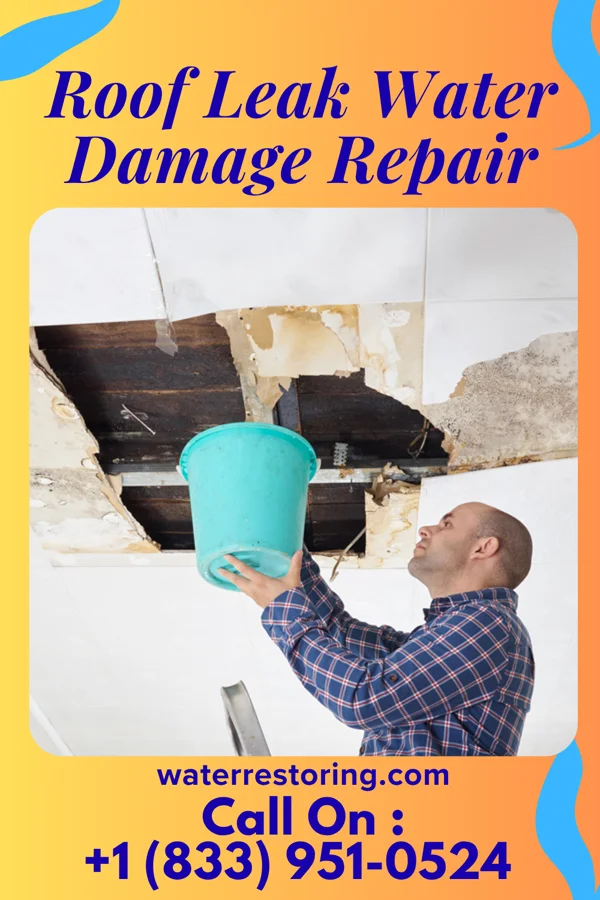 Roof Leak Water Damage Repair in Crystal, MN