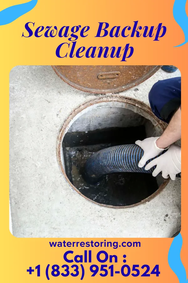 Sewage Backup Cleanup in Crystal, MN